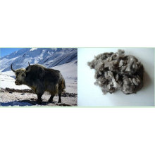 low price yak wool fiber